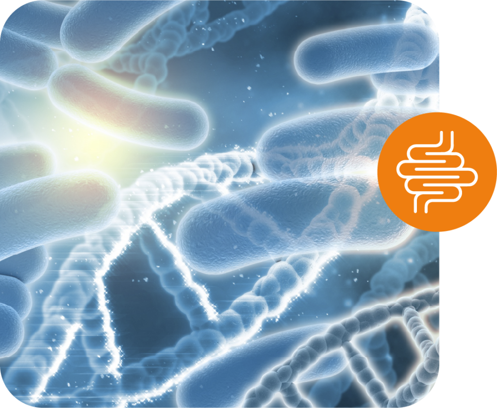 vitaplus salud intestinal microbiota y probioticos Recurso 12@2x